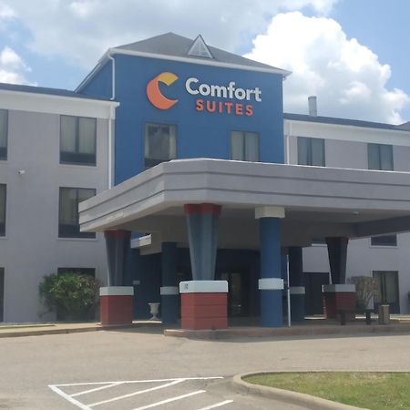 Comfort Suites Airport South Montgomery Exteriör bild